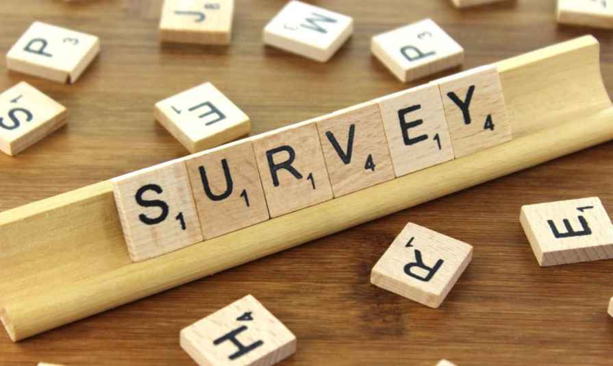 survey bypass online