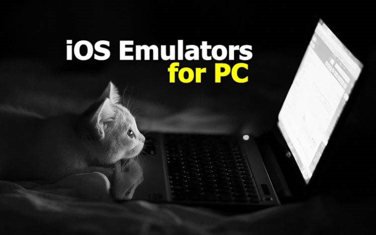 ios emulator for PC