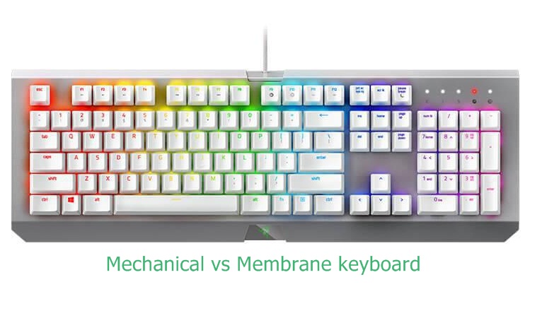 Mechanical vs Membrane keyboard